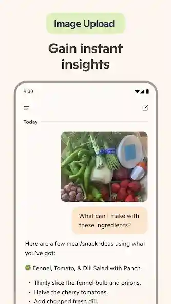 Microsoft Copilot Pro MOD APK