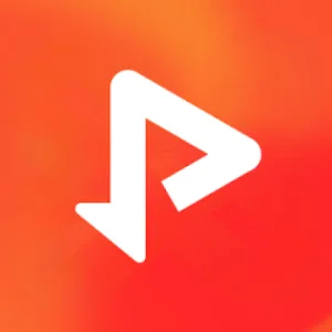 video & music downloader
